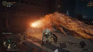 Elden Ring - Red Wolf of Radagon - Boss fight