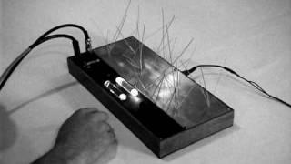 Folktek Luminist Garden Video 1