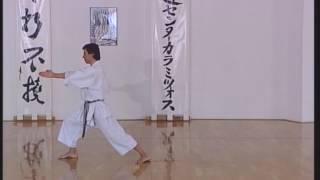 Shotokan - Heian Nidan