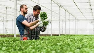 Indoor Growing Dehumidifiers: Quest Dual Overhead Dehumidifiers | Sylvane