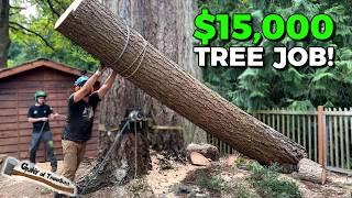 My MOST CHALLENGING Tree Removal Job Yet! 5 BIG Firs with NO DROP ZONE!!!