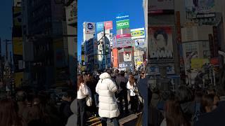 Shibuya Crossing Day Walker!