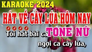 Hát Về Cây Lúa Hôm Nay Karaoke Tone Nữ | Đình Long Karaoke