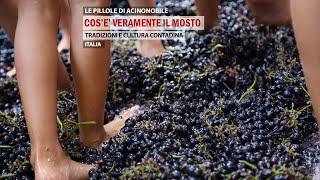  E VOI, SAPETE COS’È VERAMENTE IL MOSTO?