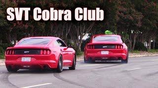 Mustangs leaving SVT Cobra Club  Parkway Ford Show 2015 (2 of 3)