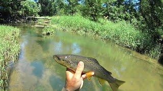 Wisconsin Trout Fishing - 6/30/2024