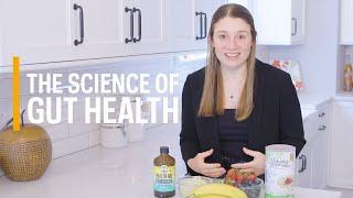 How To Improve Your Gut Health | Hack Your Health
