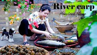 LÝ TRIỆU CA || Harvest big RIVER FISH & SNAILS || make super delicious FISH SALAD