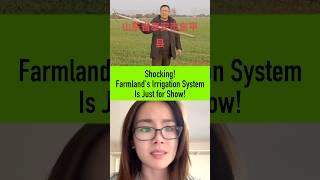 Shocking! Farmland's Irrigation System Is Just for Show!