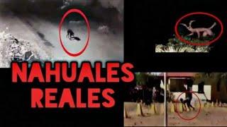 5 Nahuales Mas Aterradores Captados En LA VIDA REAL | videos que no te dejarán dormir