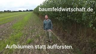 Klimawandelanpassung mit Agroforst in der Prignitz, Brandenburg