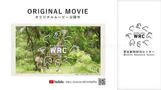 京都大学部局紹介映像【野生動物研究センター】Introduction Video Wildlife Research Center, Kyoto University