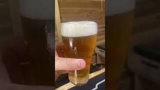 Homebrew ginger beer