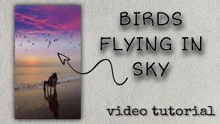 TRENDING BIRDS IN SKY FLYING VIDEO EDITING TUTORIAL || VN VIDEO EDITOR APP