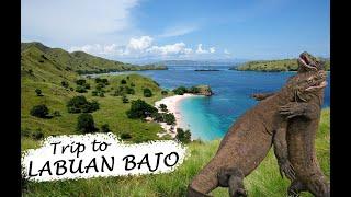 Trip to Labuan Bajo │ 10 Destinasi Wisata yang Wajib Dikunjungi Selama Di Labuan Bajo