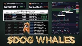 Massive $DOG (Bitcoin) Whale Accumulation (Tricked Retail) 