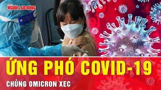 Ứng phó dịch COVID-19, bây giờ hoặc quá muộn? | Tin tức