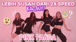 PINK PANDA ROLLER COASTER SPEED DANCE CHALLENGE!