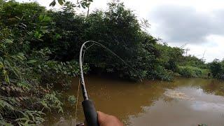 SUNGGUH KEJAM  SAMBARAN PADAT DI SATU JALUR || CASTING DI 2 IKAN BERBEDA