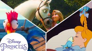 Disney Princesses Spending Time With Their Animal Friends | Disney Princess