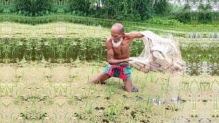 Amazing Fishing Video - Traditional Net Fishing Video - Village Fishing Video