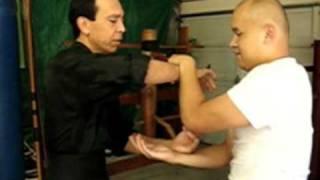 Fatshan Style Wing Chun Kung Fu Lifting punch