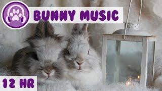 Music For Rabbits - Soothe and Calm Your Rabbit Instantly!