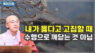 [육조32] 내가 옳다는 착각, 수행해서 깨닫는 것이 아니다