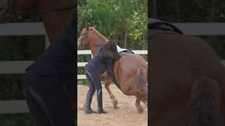 Clever ️#haris #horseriding #horsevideo #horseride #horserider #horses #horse #funny #funnyvideo