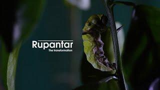 Rupantar : The transformation of Common Mormon Butterfly