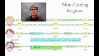 DNA Fingerprinting