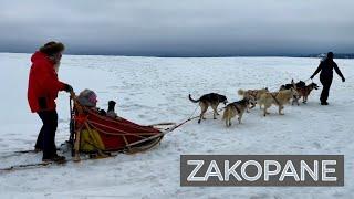 ZAKOPANE & TATRA MOUNTAINS 2024 | Husky dog sledding with Krakowfy & Fundog | Music by B Rapkin