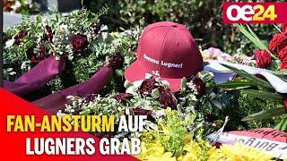 Fan-Ansturm auf Richard Lugners Grab