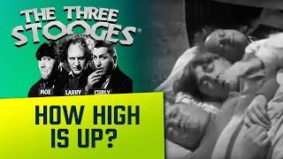 The THREE STOOGES - Ep. 48 - How High Is Up  - Classic 3 Stooges