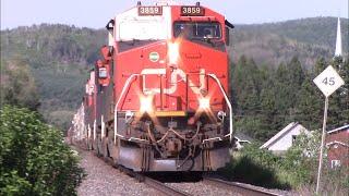 Nice Big Lashup on Freight Train CN 305 Rolling thru Baker Brook, NB at Track Speed