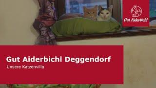 Katzenvilla in Gut Aiderbichl Deggendorf