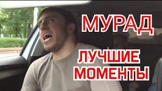 Мурад дагестанец кидает таксиста, лучшие моменты