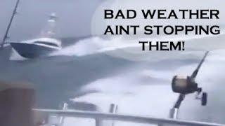 BAD WEATHER, NO PROBLEM | Billfish Movement TV 022