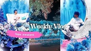 Weekly Vlog: Christmas Lights, Errands, and More