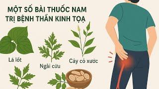 Một số bài thuốc nam trị bệnh thần kinh tọa