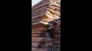 The secret works of nature - Stone Forest in Inner Mongolia| CCTV English