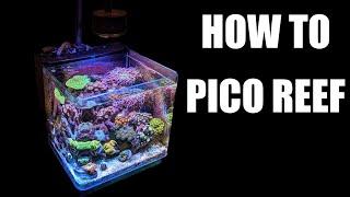 How to Pico Reef: The Complete Guide to 5 Gallons or Less