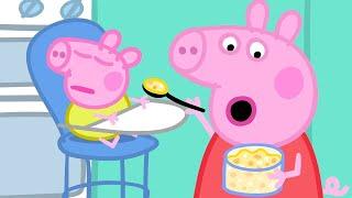 Peppa Pig Wutz Neue Folgen | Baby Alexander | Peppa Pig Deutsch Neue Folgen | Cartoons für Kinder