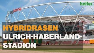 Hybridrasen für das Ulrich-Haberland-Stadion Leverkusen