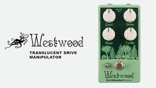 Westwood Transparent Overdrive Guitar Demo | EarthQuaker Devices