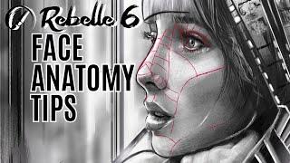 Tips for drawing faces in Rebelle 6