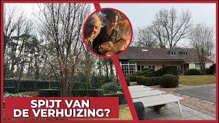SPIJT VAN DE VERHUIZING? - #2415
