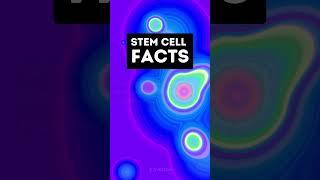 Can Stem Cells Be the Answer to Healing Burn Victims? #healing #biology #medicine