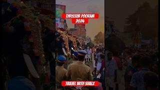 Thrissur pooram 2024 | Elephant coming like legend 🩷 #thrissurpooram2024 #shorts