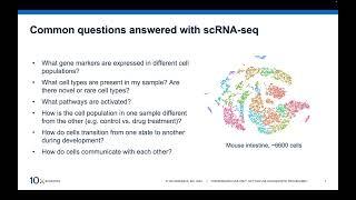 Introduction to ScRNA-seq Data Analysis